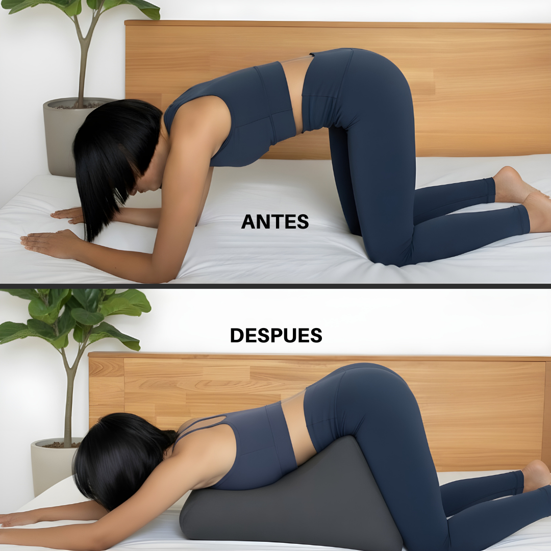 MODENZA Ergo Sex | Almohada Postural