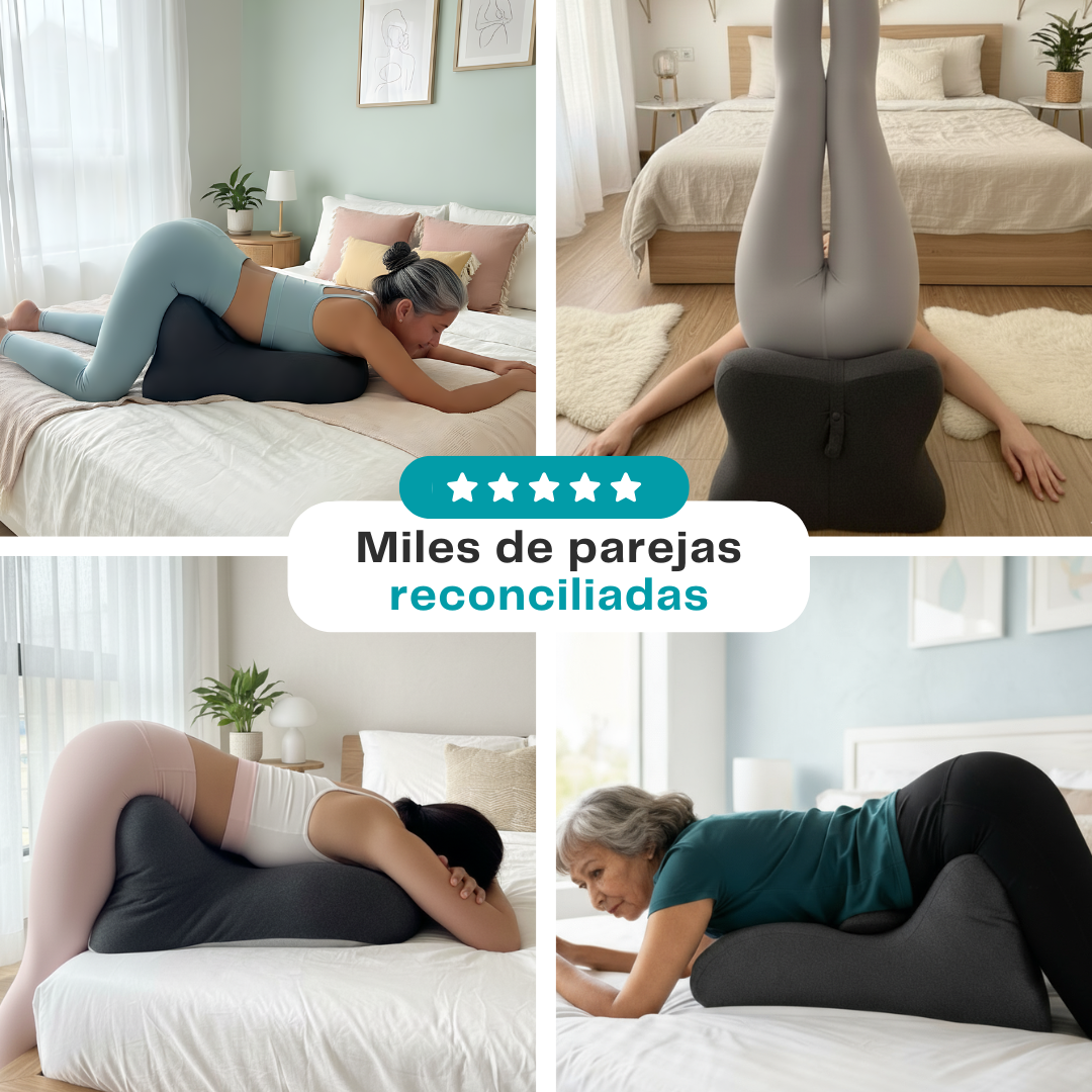 MODENZA Ergo Sex | Almohada Postural