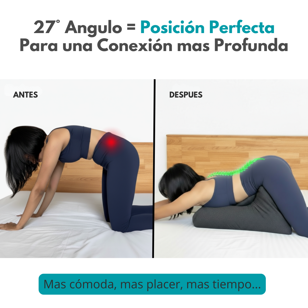 MODENZA Ergo Sex | Almohada Postural