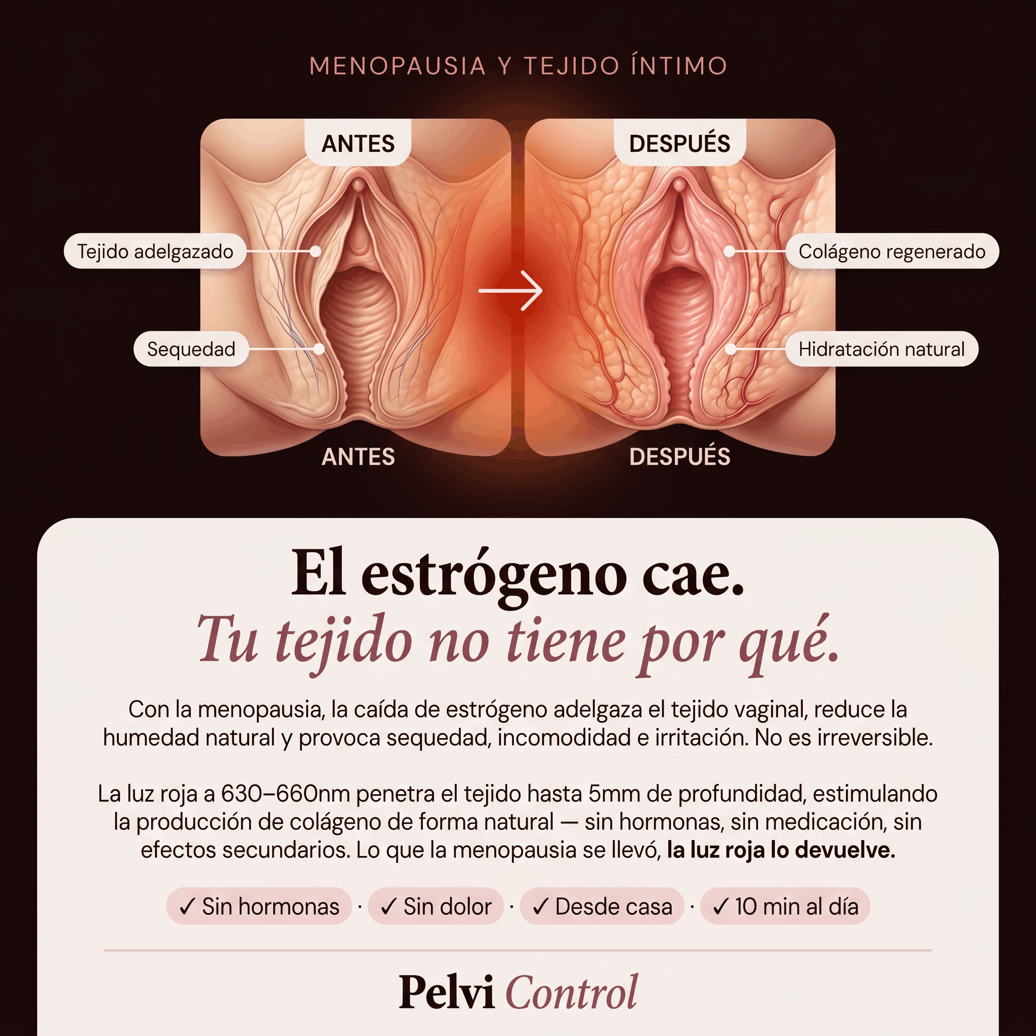Pelvi Glow X | Húmeda Fuerte y Tuya Otra Vez