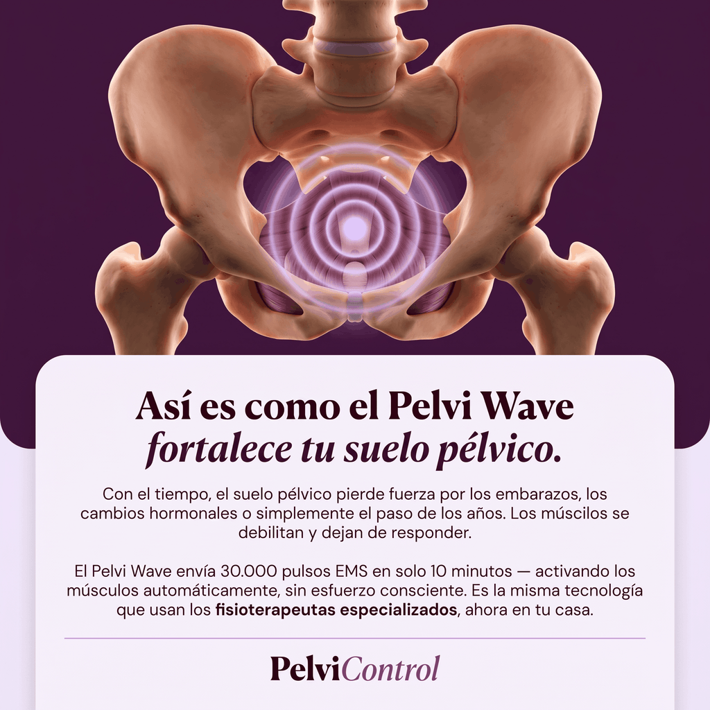 Pelvi Wave | Fisioterapia Pélvica en Casa — Tecnología Clínica.